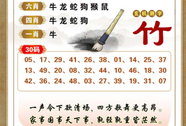 2025049期香港彩九肖30码中特
