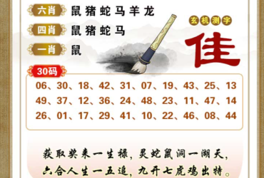 2025076期香港彩九肖30码中特