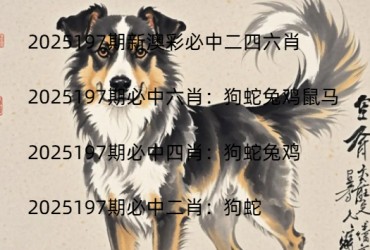 2025197期新澳彩必中二四六肖