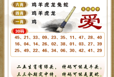 2025078期香港彩九肖30码中特