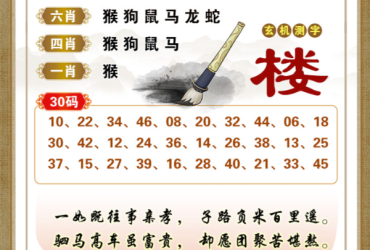 2025079期香港彩九肖30码中特