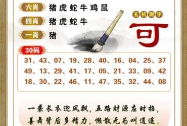 2025097期香港彩九肖30码中特
