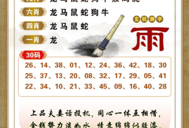 2025115期香港彩九肖30码中特